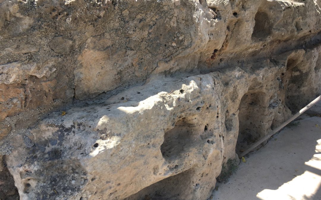 Ολοκλήρωση των ανασκαφών στην Κάτω Πάφο-Τούμπαλλο Κύπρου