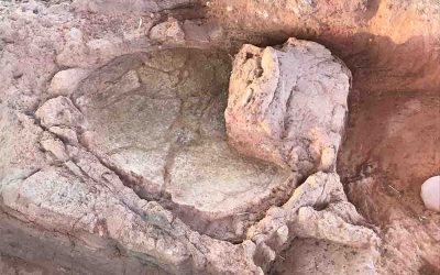 Κουτρουλού Μαγούλα: ανακαλύφθηκαν μνημειακά κτήρια, κλειστοί κεραμικοί κλίβανοι, και εντυπωσιακές περιμετρικές τάφροι