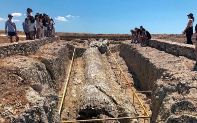 Δυο γιγάντιοι κορμοί δένδρων αποκαλύφθηκαν σε ανασκαφές στο Απολιθωμένο Δάσος της Λέσβου