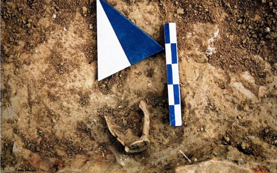 Αποτελέσματα αρχαιολογικής έρευνας στο Ιερό του Ελικωνίου Ποσειδώνα στα Νικολέικα Αιγιάλειας