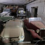 Ανακοίνωση του Συλλόγου Φίλων Κτήματος Τατοΐου σχετικά με τα Βασιλικά Αυτοκίνητα