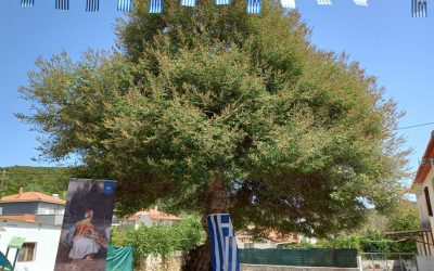 Πρώτη επετειακή εκδήλωση σήμανσης Δέντρων Ελευθερίας Πελοποννήσου