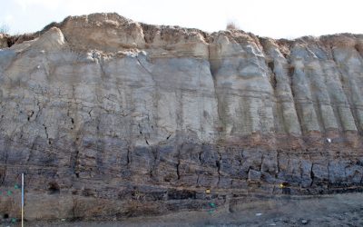 Αποτελέσματα της επιφανειακής και γεωαρχαιολογικής έρευνας στη Μεγαλόπολη