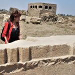 Ο Αλέξανδρος και ο Αριστοτέλης στη Μίεζα: το βασιλικό Γυμνάσιο, η Χαιρώνεια και η δημιουργία του «Νέ...