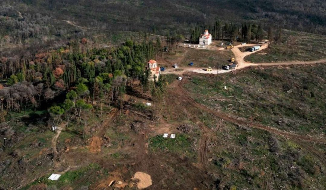 Τα έργα αποκατάστασης δασικού τοπίου, ανακτορικών κήπων και κοιμητηρίου στο Τατόι