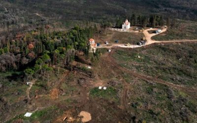 Τα έργα αποκατάστασης δασικού τοπίου, ανακτορικών κήπων και κοιμητηρίου στο Τατόι