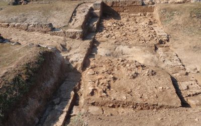 Αρχαία Μίεζα: Ερευνητικό πρόγραμμα στο βασιλικό γυμνάσιο